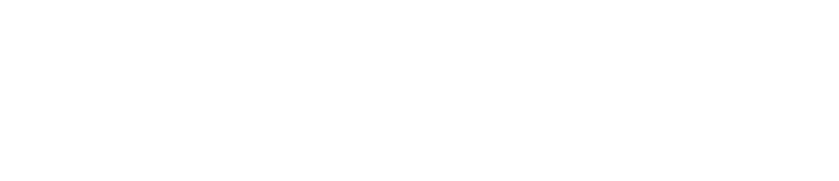 BRAY Logo