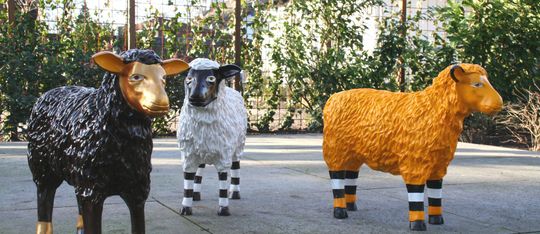 Design schapen