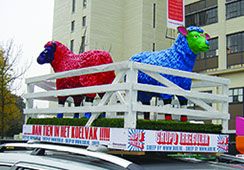 Schaap Dutch Design Week