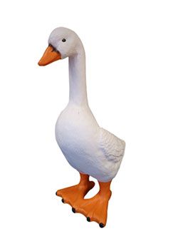 Gans
