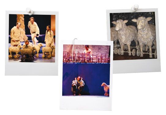 The sheep Company