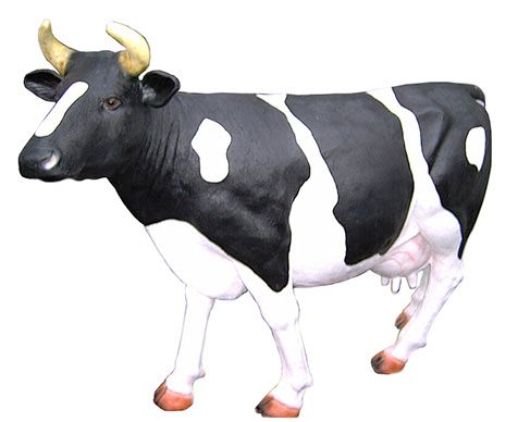 Koe levensgroot