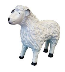 Lammetje
