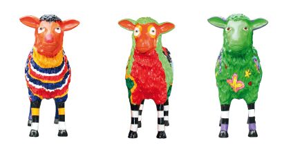 Design schapen