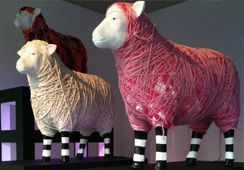 Schaap binnenhuiscollectie
