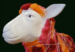 Schaap binnenhuiscollectie