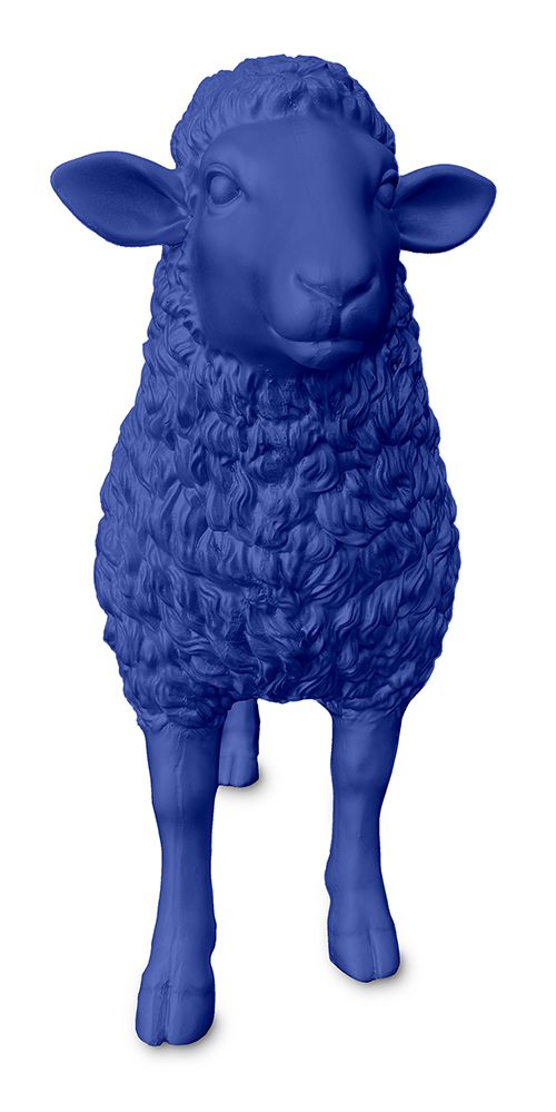 Schaap donkerblauw
