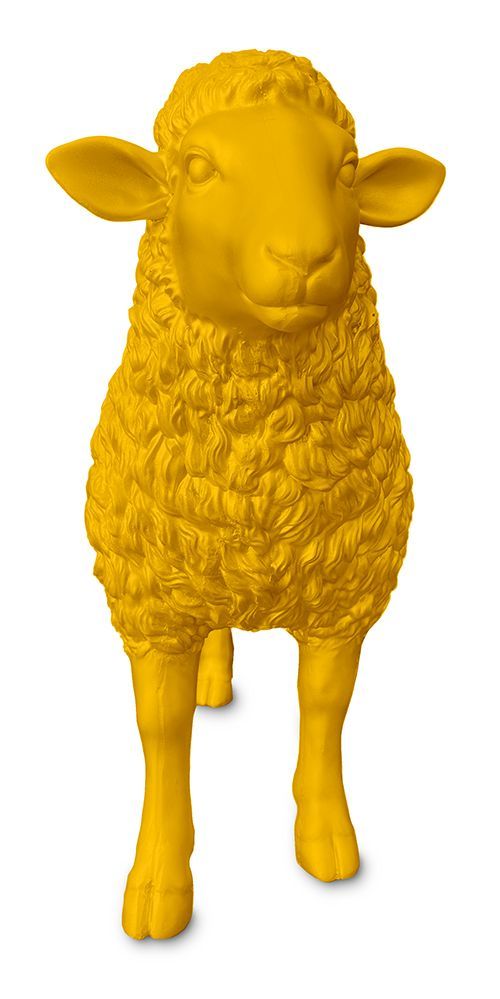Schaap geel
