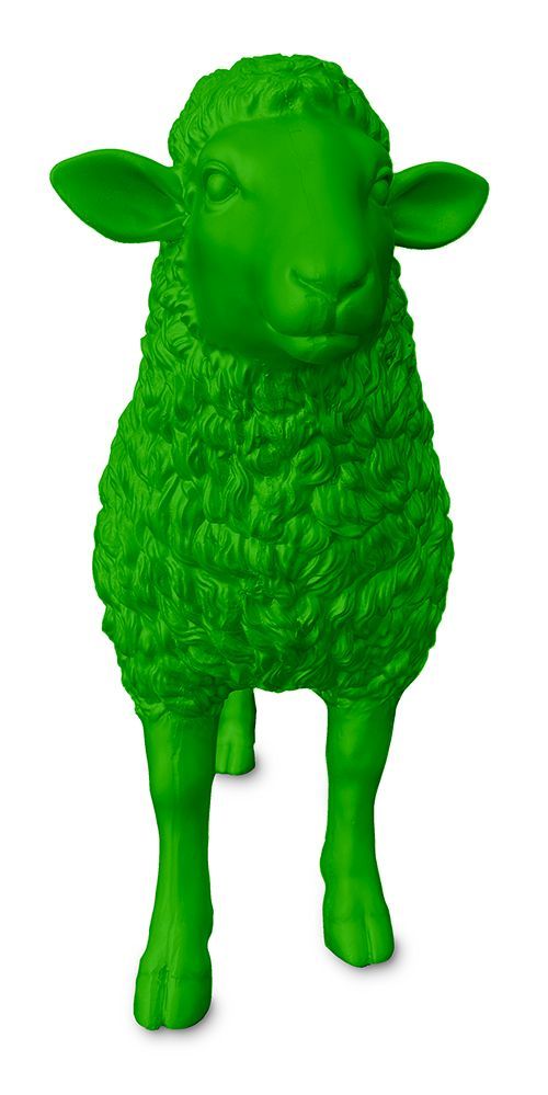 Schaap groen