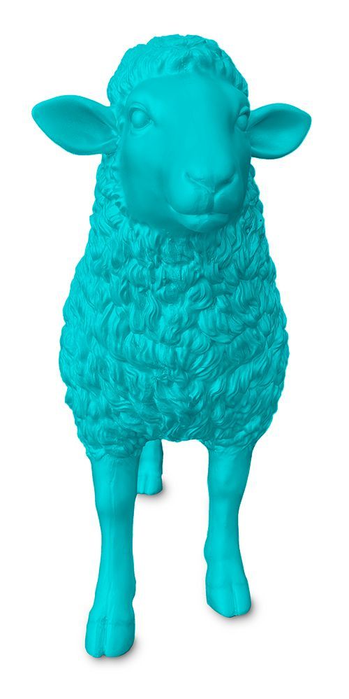 Schaap lichtblauw