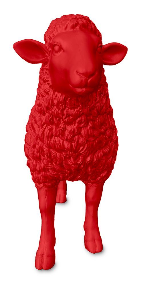 Schaap rood