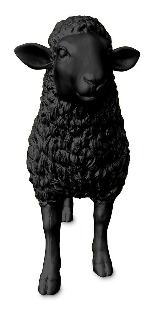 Schaap zwart