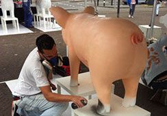 Workshop varkens schilderen