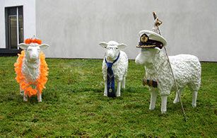 Schapen Veenendaal