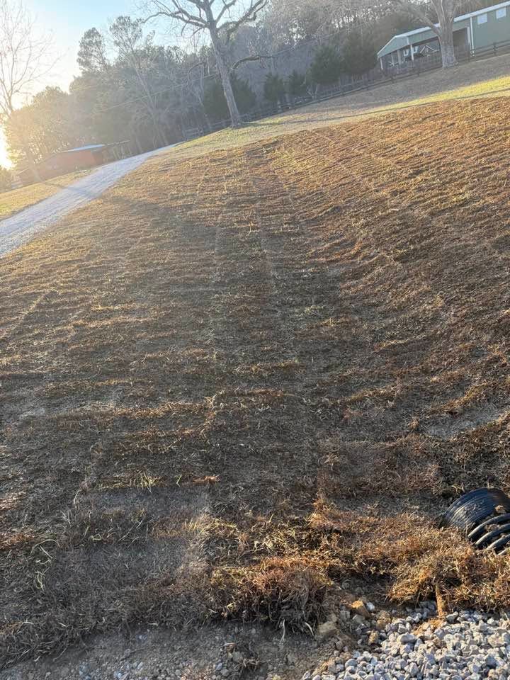 Grassy hillside with tire tracks at sunset, a road and houses in the distance