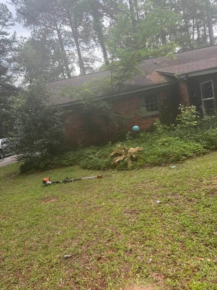 Brick house with overgrown front yard, trees, and a small garden in misty weather