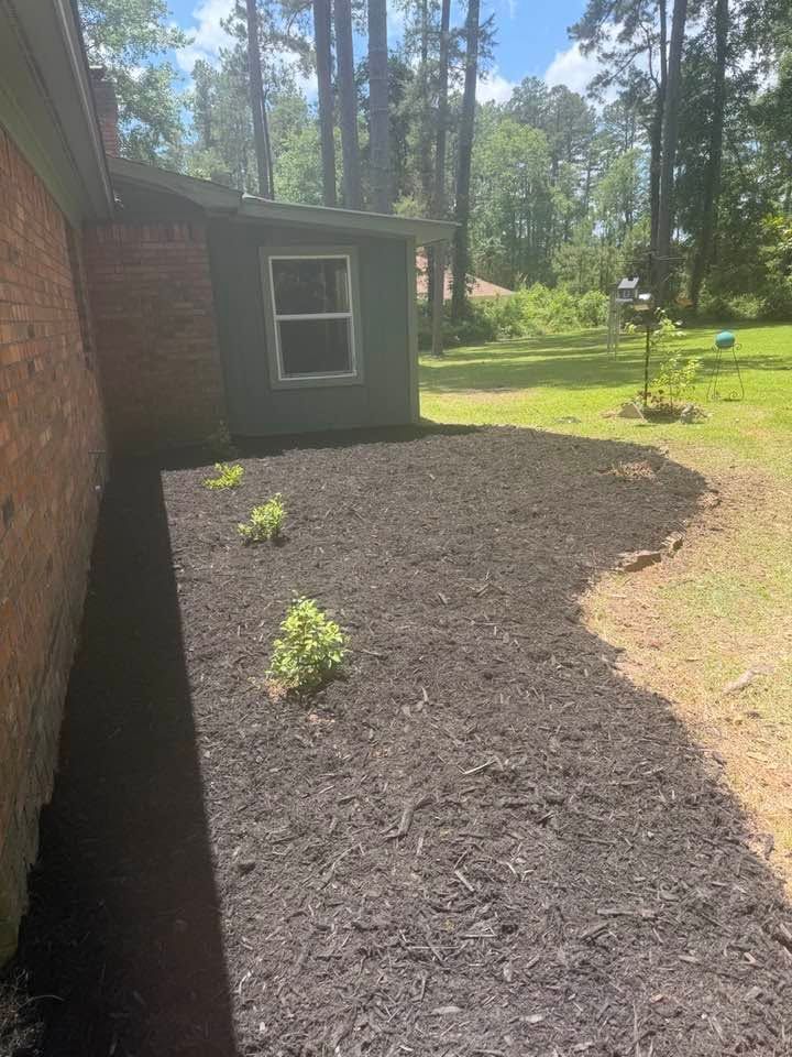 Mulched garden bed with small shrubs beside a house, bordered by brick and a grassy yard with trees
