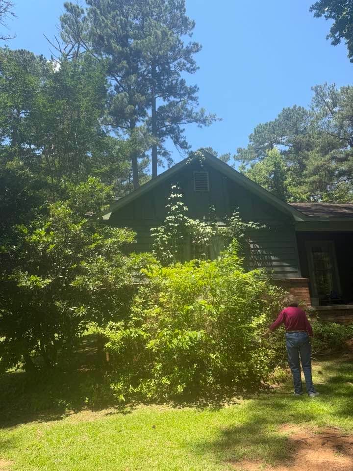 Person in a red shirt standing by a green house surrounded by trees and bushes under a blue sky