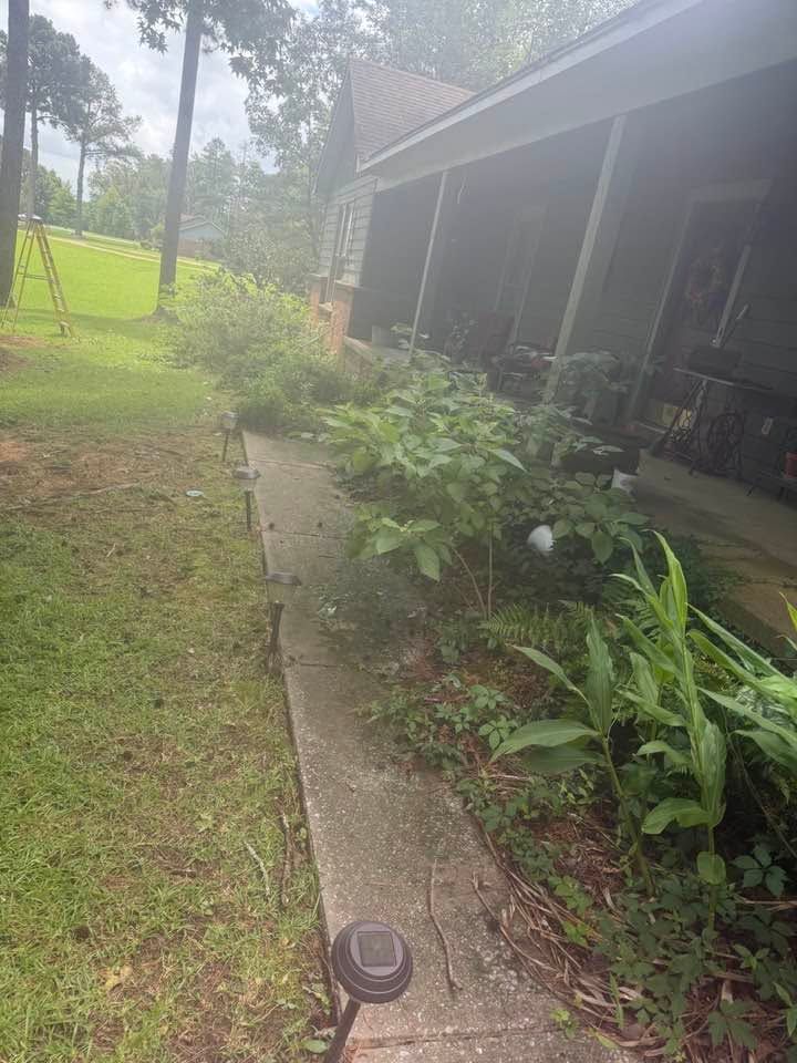 Overgrown garden path beside a screened porch, with shrubs and trees along the walkway.