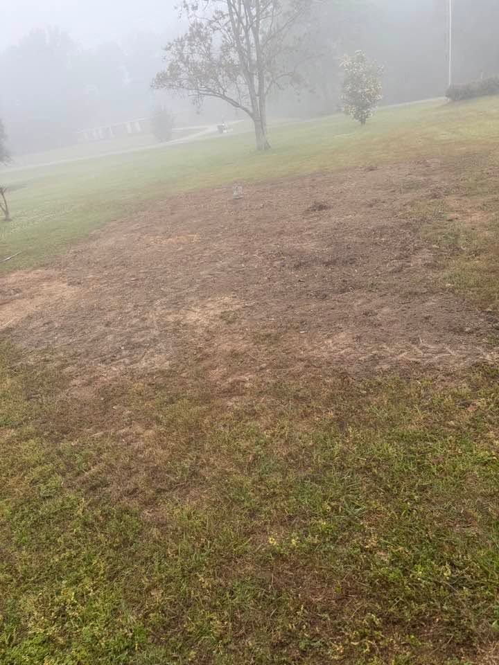 Foggy grassy field with a leafless tree and brown patchy ground.