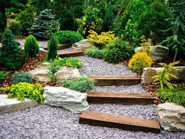 Wooden steps through a landscaped gravel garden with green shrubs and rocks
