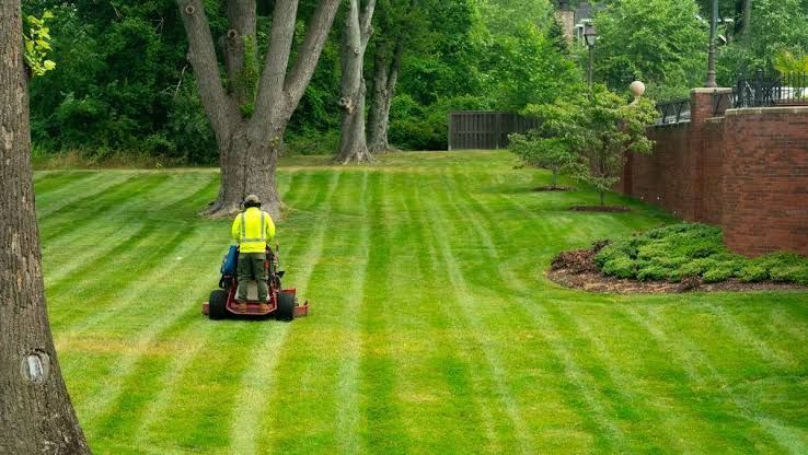 Person mowing a striped green lawn near trees and a brick wall