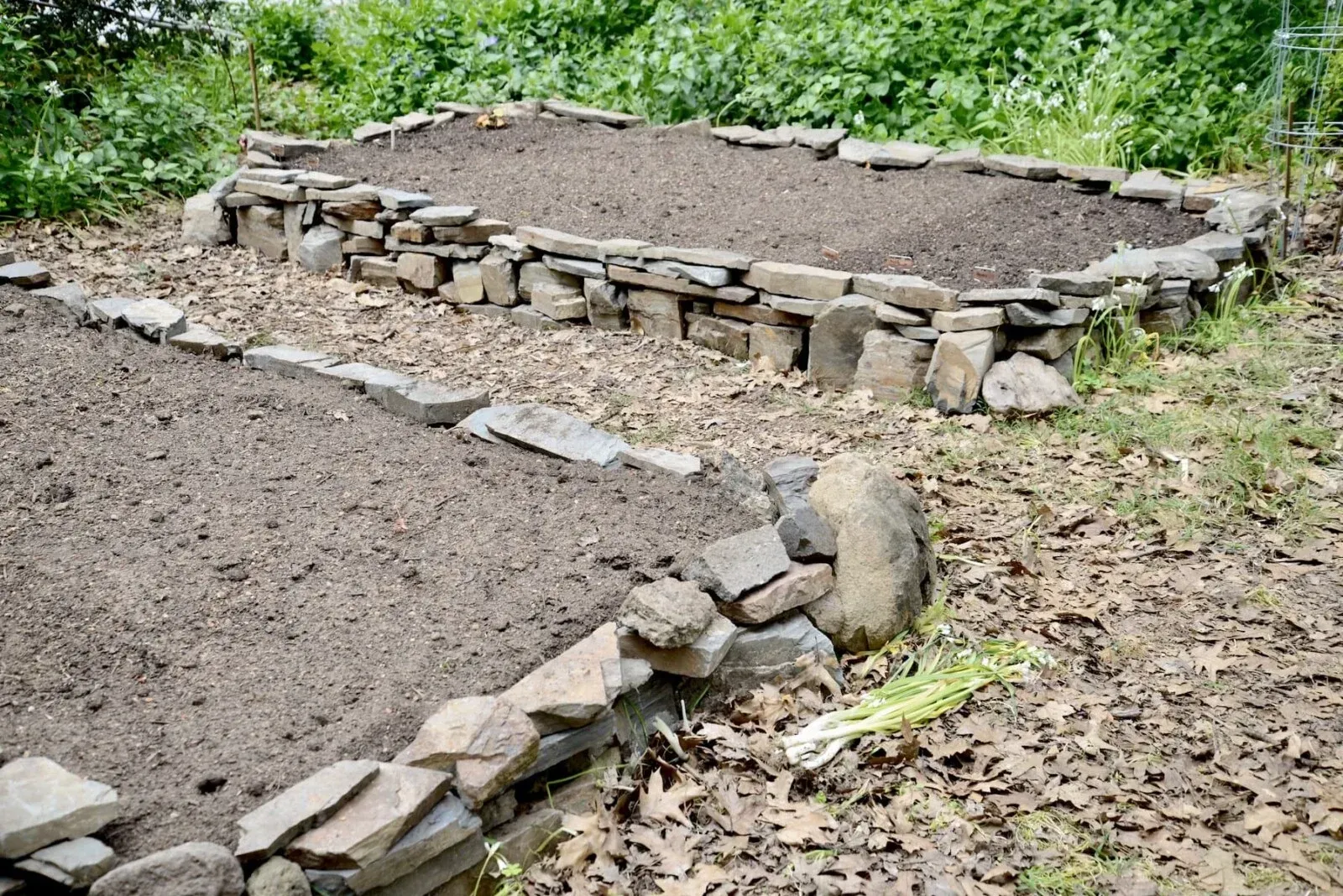 Raised garden beds with stone borders and soil in a leafy outdoor area