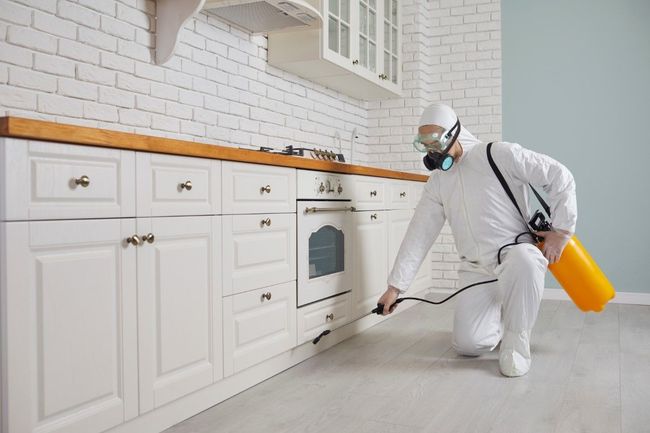 Person in protective gear sprays insecticide in a kitchen.
