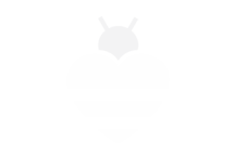 Apicoltura LGS, Cerrione, Biella, logo