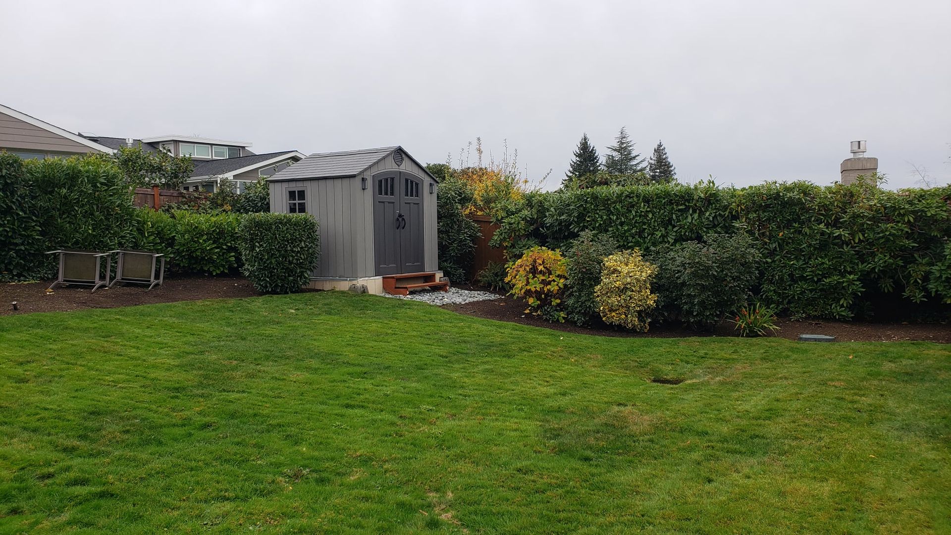 A backyard with a shed and lawn. Green grass and hedges with a cloudy sky.