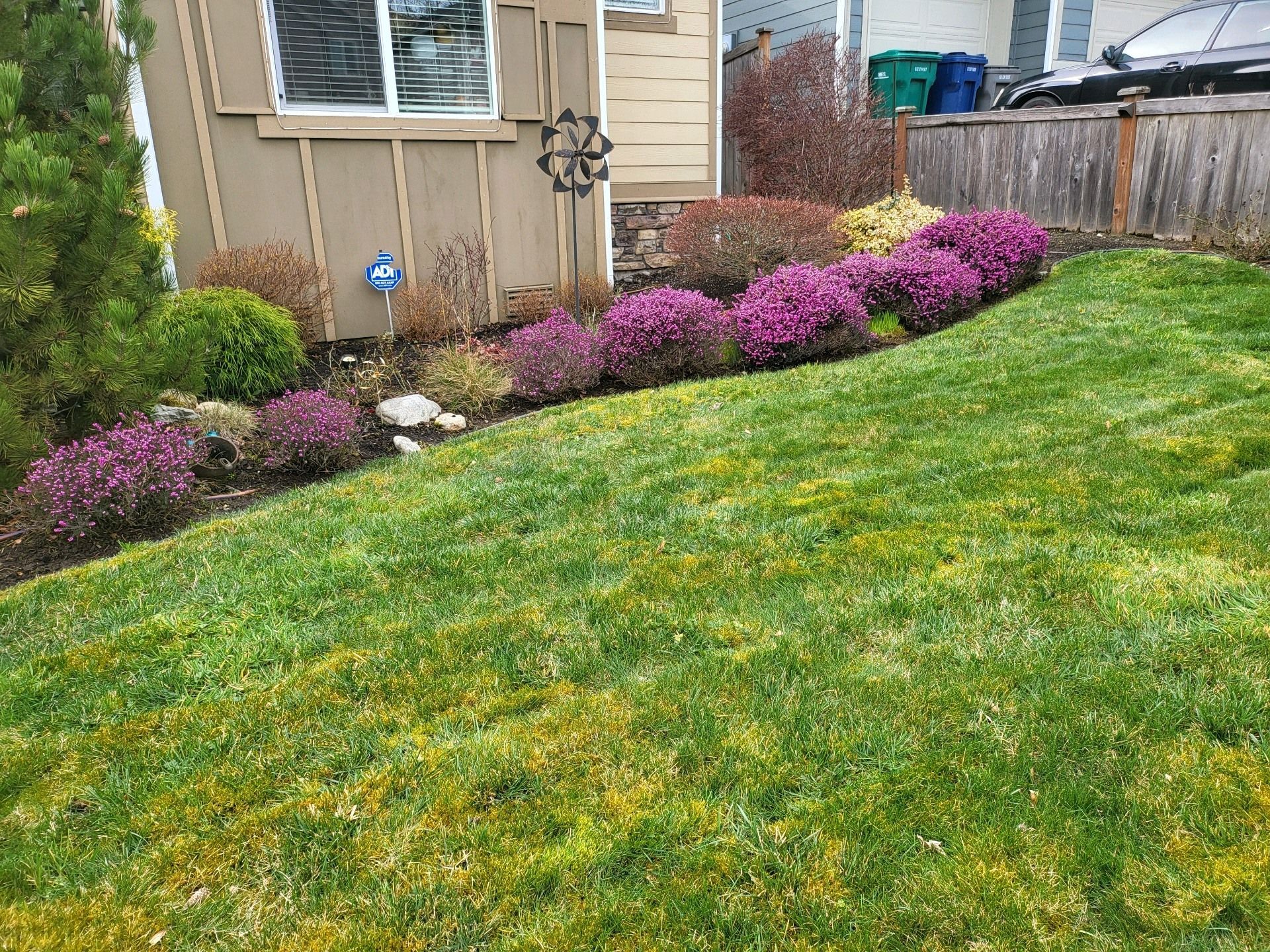 Lush green lawn slopes up to a garden bed with purple flowers and shrubs against a tan house.