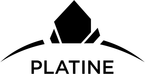 Un logo noir présentant une forme géométrique abstraite au-dessus d'une ligne courbe et le mot « PLATINE » en caractères gras noirs.