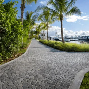 a Belgian cobble stone walkway with palm trees and a boat in the background