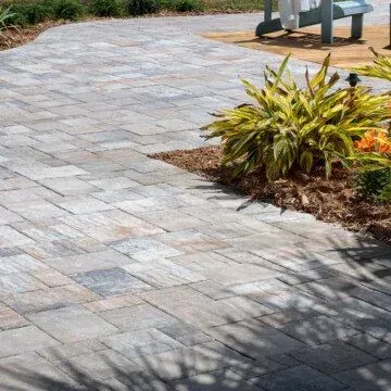 a catalina walkway with a bench and plants on the side .