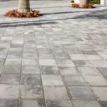 a city series brick driveway with palm trees in the background .