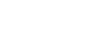 Visit Event Partner Websitre Destiny Rescue Rescuing Children Logo - Event Partner