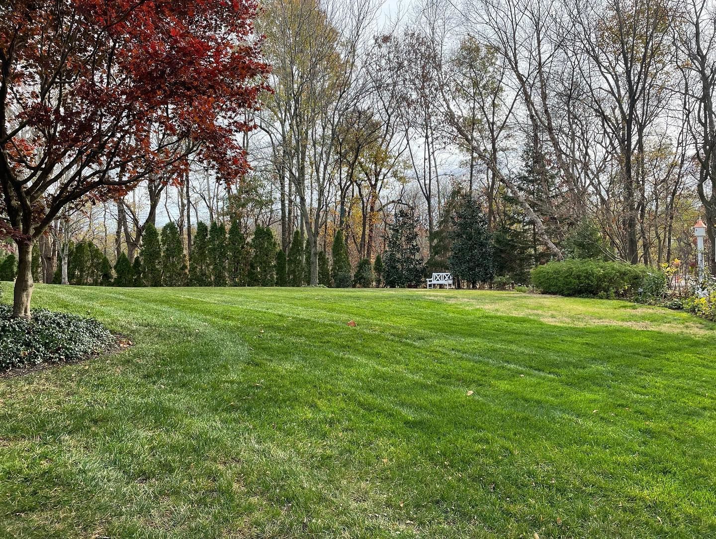 Grassy park with autumn trees and a white bench in the distance