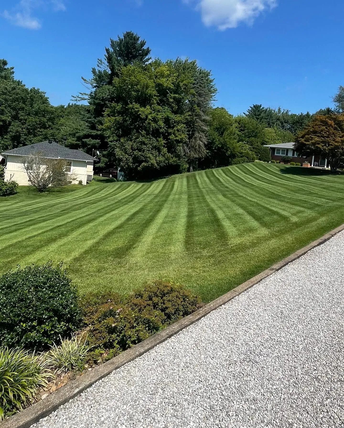 Freshly mowed striped lawn beside a gravel path, with trees and houses under a clear blue sky