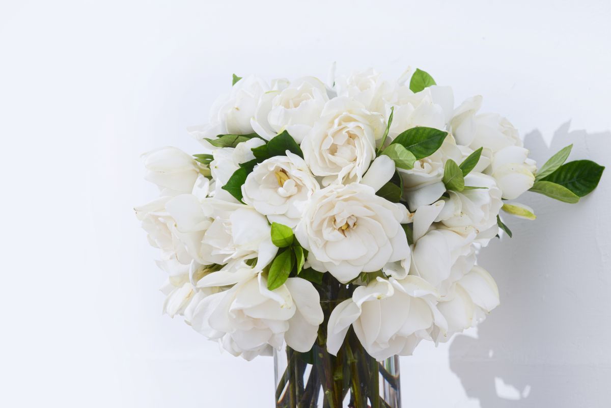 Brunswick Memorial Park Funeral Home & Golden Isles Cremation Center