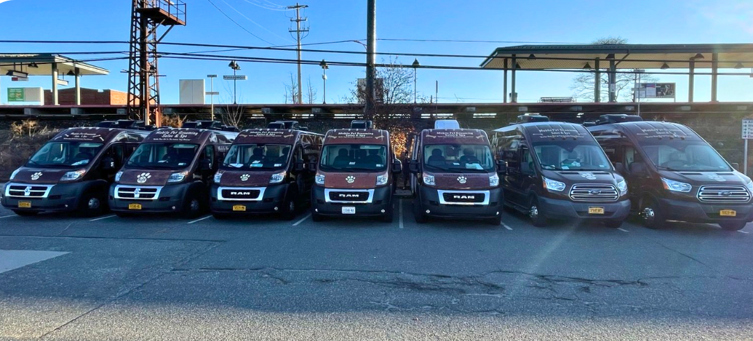 Mobile Dog Grooming Near Me Prices