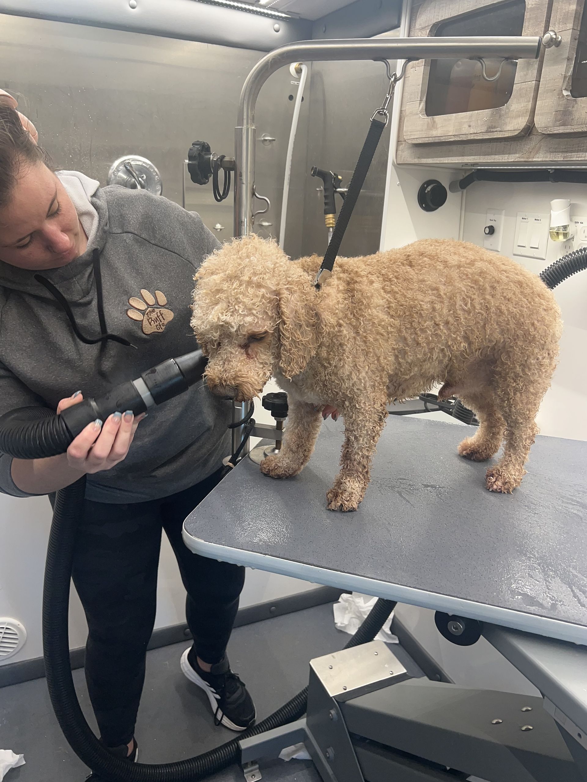 Mobile Dog Groomers In Hamptons We Groom The East End