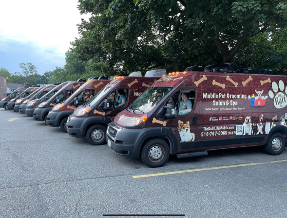 Low-Cost Pet Vaccination Clinic: Dog & Cat Vaccinations, Microchips ...