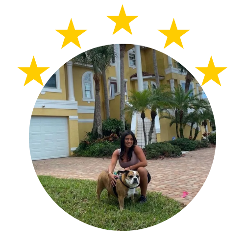 Pet Sitting Services Mobile Dog Groomers Hamptons