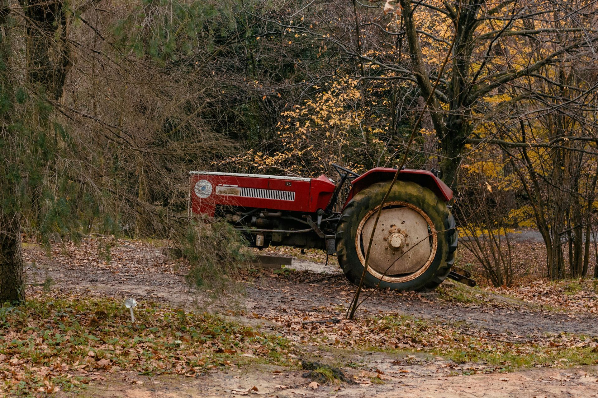Ein roter Traktor steht am Rand einer unbefestigten Straße im Wald.