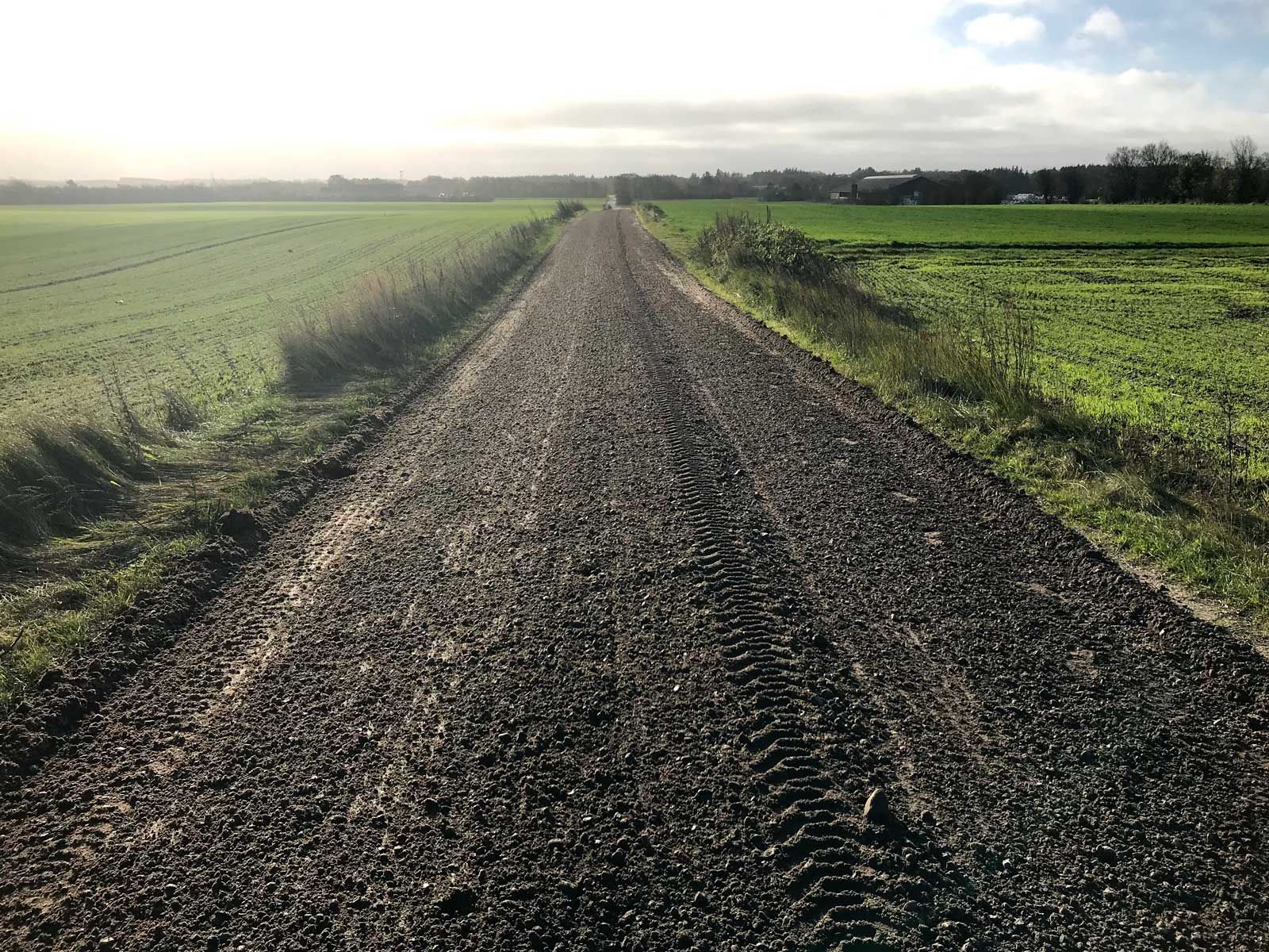 Ein Feldweg, der durch eine grüne Wiese führt.