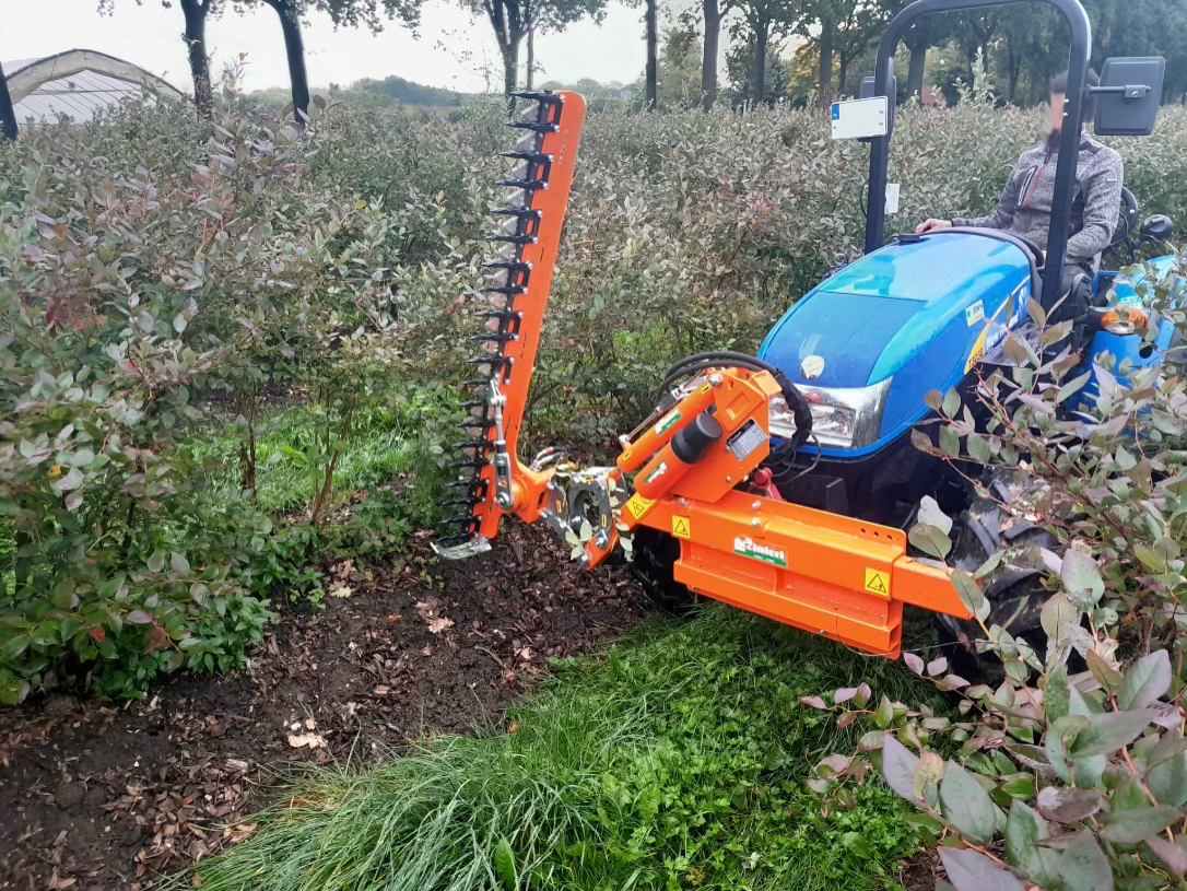Blauer Traktor mit orangefarbener Heckenschere schneidet Büsche auf einem Feld. Fahrer.