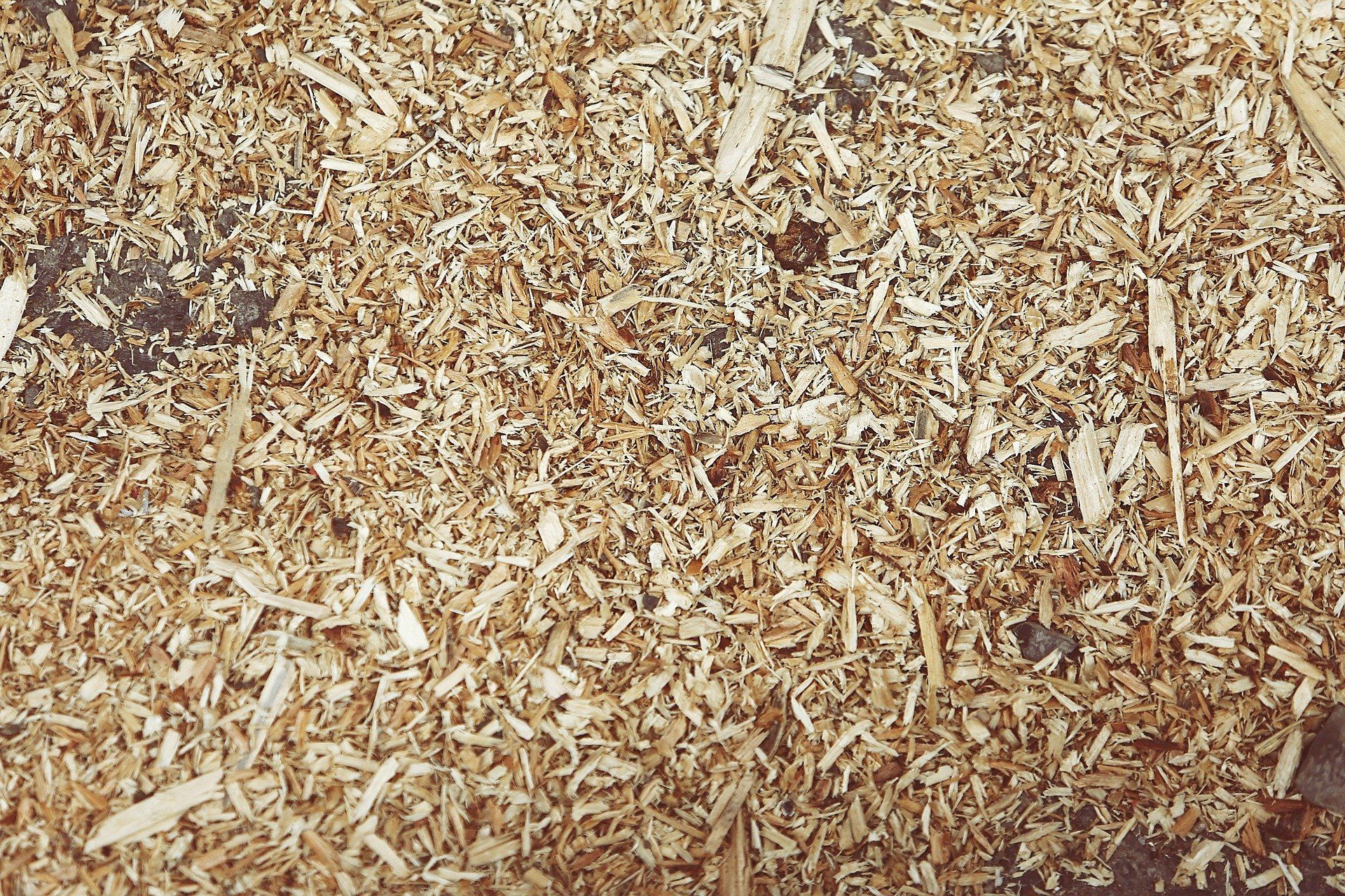 Eine Nahaufnahme eines Haufens Holzspäne auf einem Tisch.