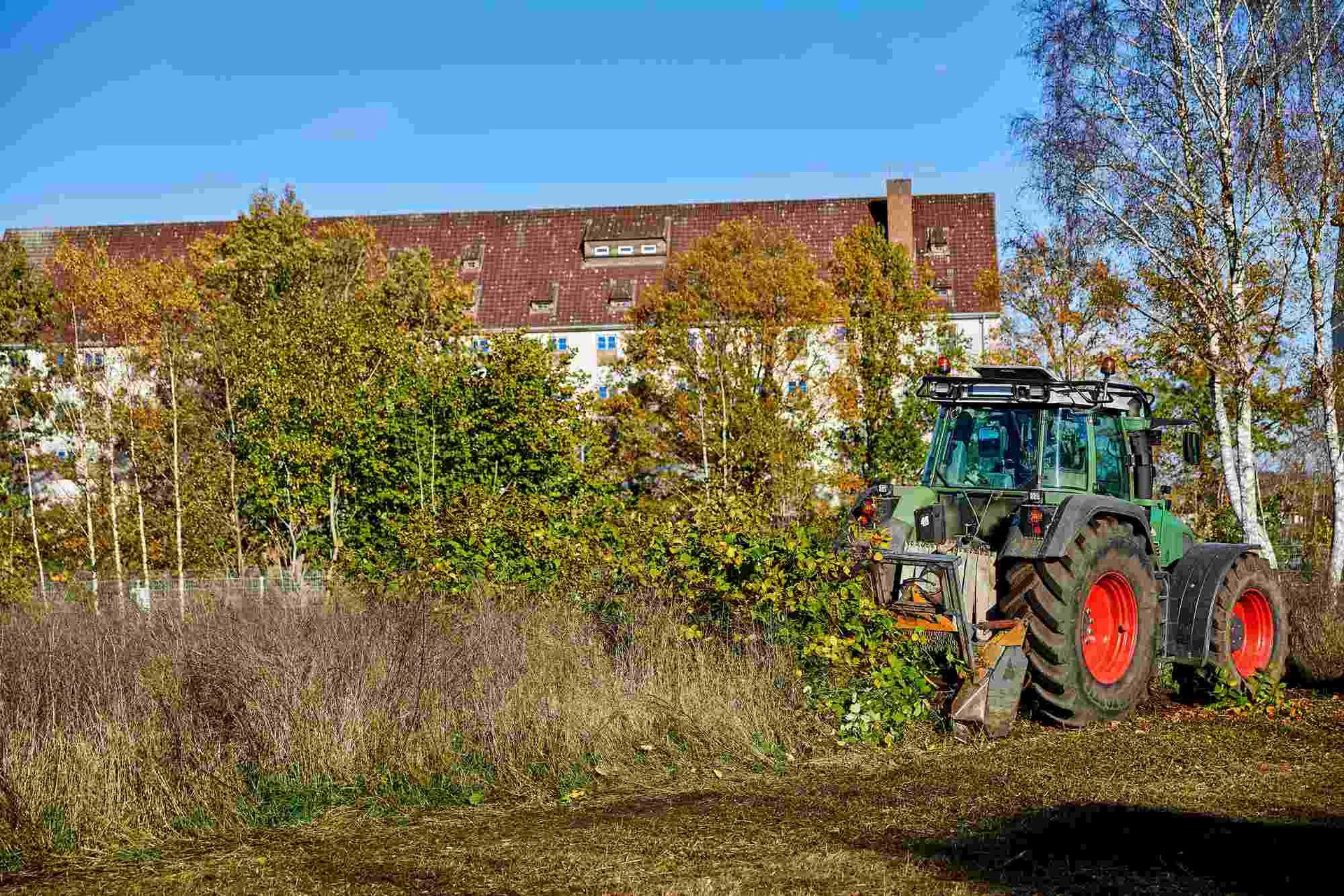 Forstmulcher