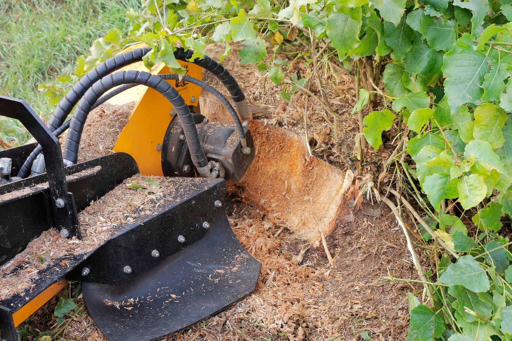 Ein Baumstumpf wird maschinell entfernt.