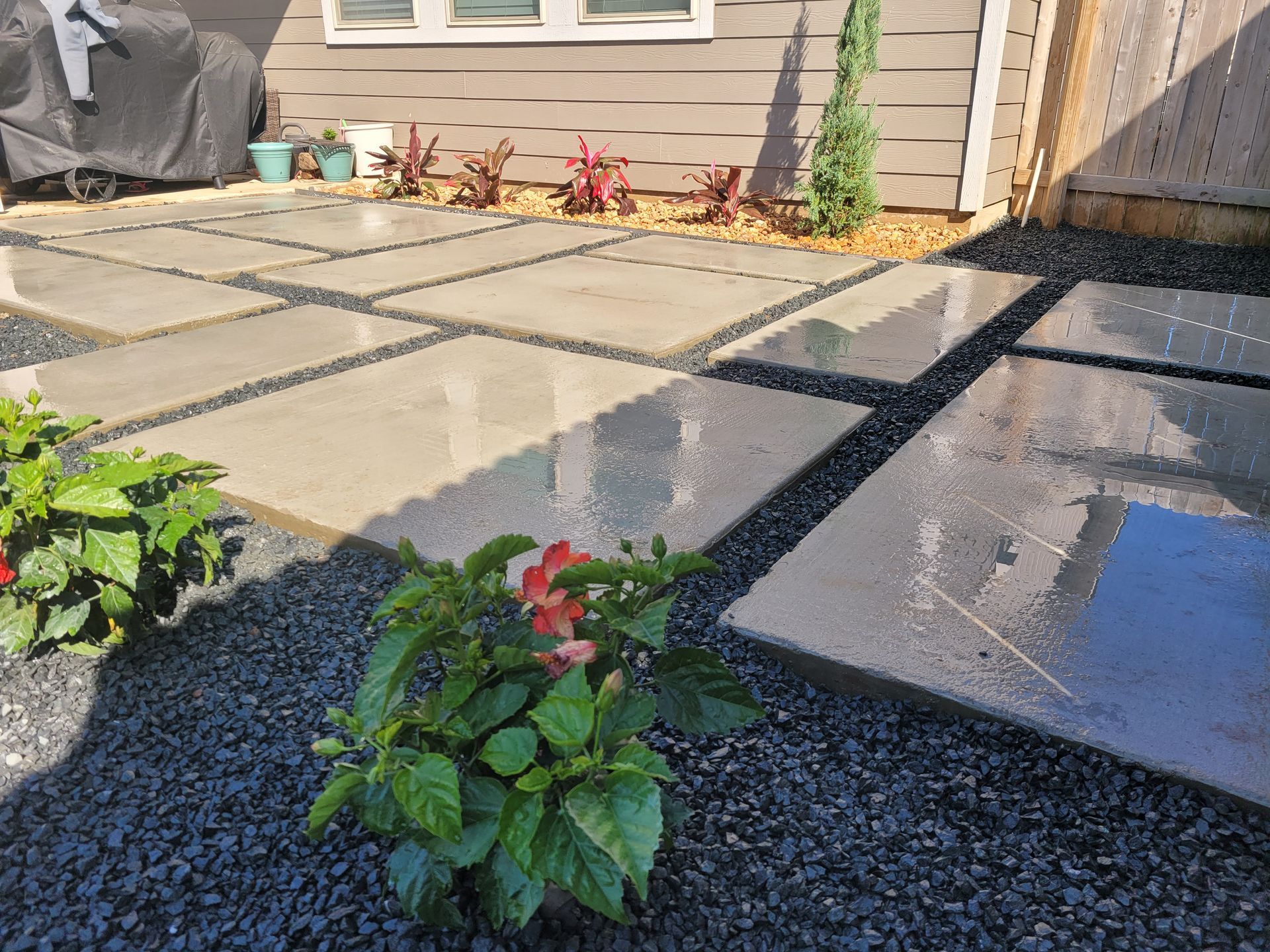 A row of bricks are sitting on the ground in a backyard next to a shed.